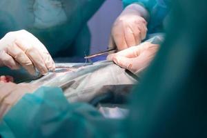 une équipe de chirurgiens et de vétérinaires effectuant une opération de castration ou de stérilisation sur un chat dans un hôpital pour animaux. photo