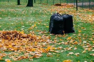 trois sacs remplis de sacs sur fond vert, feuillage jaune sur herbe. concept de nettoyage et de recyclage. sacs avec des feuilles. photo