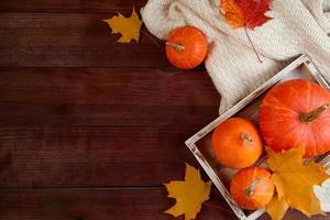 fond d'automne plat la. citrouilles mûres en boîte, feuilles jaunes et une écharpe tricotée sur fond en bois. concept d'action de grâces et d'halloween. photo