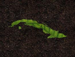 carte de cuba faite de feuilles vertes sur le concept d'écologie de fond de sol photo