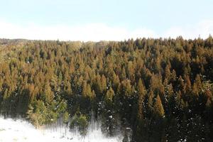 après la montagne enneigée photo