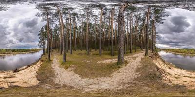 panorama hdri sphérique complet et harmonieux vue à 360 degrés sur la haute plage de sable de la large rivière dans la forêt de pins au printemps en projection équirectangulaire, prêt pour le contenu de réalité virtuelle ar vr photo