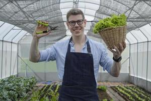 un agriculteur caucasien avec panier de légumes frais et sécateurs avec un sourire heureux dans une serre de plantation. l'homme jardinier recueille des produits biologiques naturels à partir de cultures de pépinières agricoles. photo