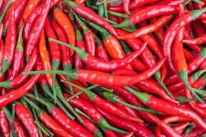 piment rouge ou piment de cayenne photo