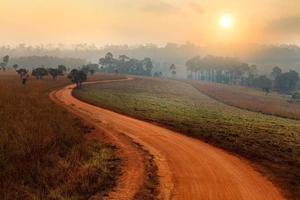 Chemin de terre menant à travers la forêt au début du printemps par un matin brumeux au parc national de thung salang luang phetchabun, thaïlande photo