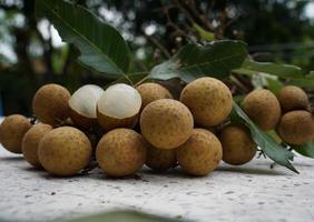 longane, un fruit thaïlandais au goût sucré. photo