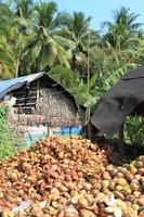 tas de cosses de noix de coco jetées en thaïlande photo