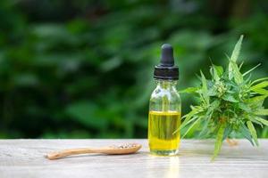 extrait de cannabis à l'huile de cbd, bouteilles d'huile de chanvre et fleurs de chanvre sur une table en bois, concept de cannabis médical photo