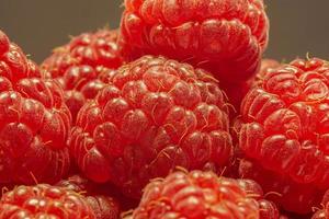 macro-vision de framboise photo