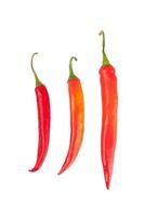 piment rouge ou piment de cayenne photo