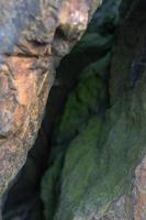 crevasse entre les rochers couverts de vert photo