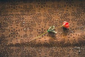rose artificielle sur un tapis photo