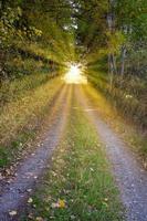 chemin forestier avec soleil du soir photo