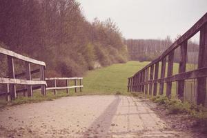 passerelle dans la nature photo