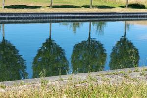 réflexion des arbres sur l'eau photo