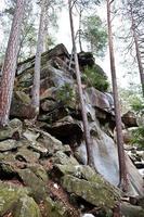 rochers de dovbush dans la forêt verte des carpates. photo