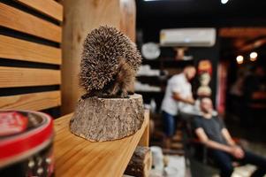 jeune homme barbu se lavant la tête par le coiffeur alors qu'il était assis sur une chaise au salon de coiffure. âme de barbier. photo