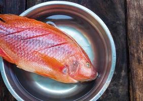 ingrédient de nourriture crue givrée de poisson frais, préparez-vous à la cuisson photo
