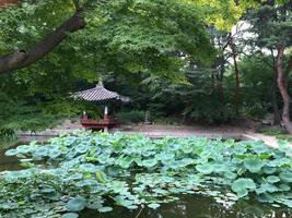 étang dans un parc photo