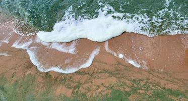 vagues de mousse et de sable. vagues d'émeraude d'algues par temps venteux photo