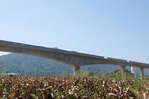 le pont ferroviaire surélevé du projet à double voie est en construction photo