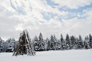 pins couverts de neige. beaux paysages d'hiver. nature givrée. photo