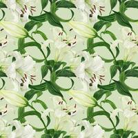 modèle sans couture vert clair floral tropical avec lys blanc photo