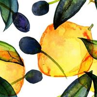 modèle aquarelle transparente citrons et olives photo