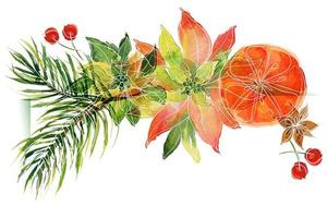 vignette florale de noël avec des oranges et des branches de poinsettia et de pin photo