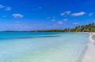 magnifique panorama paradisiaque de la plage naturelle tropicale contoy island mexique. photo