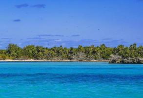 belle plage naturelle tropicale et panorama forestier contoy island mexique. photo