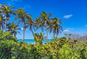 belle plage naturelle tropicale et panorama forestier contoy island mexique. photo