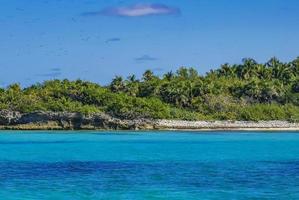 belle plage naturelle tropicale et panorama forestier contoy island mexique. photo