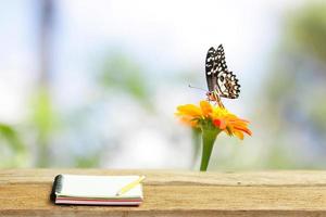 papillon sur fleur zinnia avec carnet sur table en bois photo