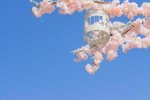 cage à oiseaux décorative blanche accrochée à une branche de pommier en fleurs sur fond de ciel. décoration de la ville de printemps photo