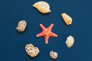 vue de dessus des coquillages et des étoiles de mer sur fond bleu marine. vacances d'été et concept de vacances photo