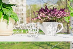 décoration de jardin de printemps. stellage blanc avec pots de fleurs en céramique et vélo décoratif. bruyère violette en fleurs dans un arrosoir photo