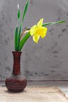 narcisse en fleurs jaunes dans un vase en argile sur fond de mur en béton. copie espace photo