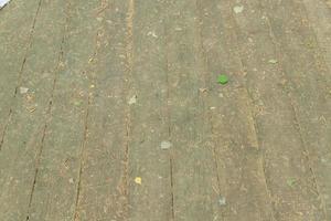 aiguilles et feuilles d'épinette tombées sur le sol du bureau en bois photo