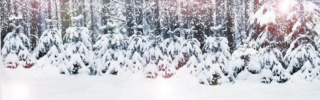 l'hiver. chute de neige. carte de Noël. photo