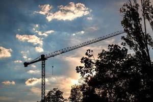 paysage avec une silhouette de la grue au coucher du soleil photo