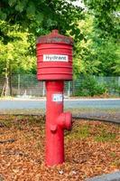 bouche rouge dans le parc photo