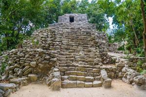 Ruines mayas à l'ombre des arbres dans la forêt tropicale de la jungle playa del carmen, riviera maya, yu atan, mexique photo