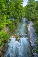 montagne rivière ruisseau cascade vert forêt paysage la nature plante arbre forêt tropicale jungle photo