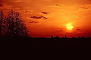 beau coucher de soleil rouge mystique sur la forêt photo