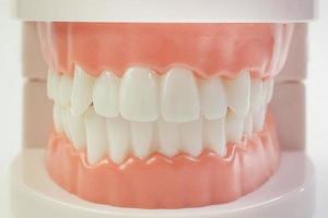 le modèle de dent sur fond blanc pour le contenu dentaire. photo