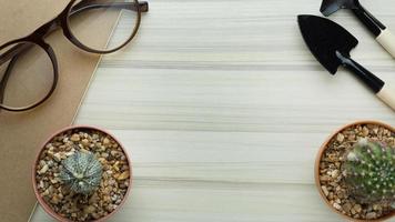 le cactus sur une table en bois blanc image plate en gros plan. photo