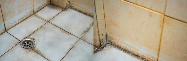 taches sur les joints, les coins et les surfaces des carreaux de salle de bain. source du pathogène. photo