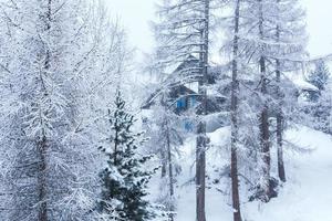 maison de village cachée derrière les arbres photo