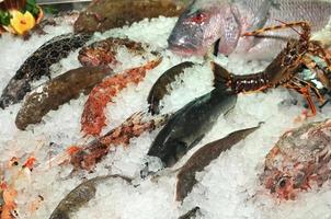 poisson de mer congelé dans la glace photo